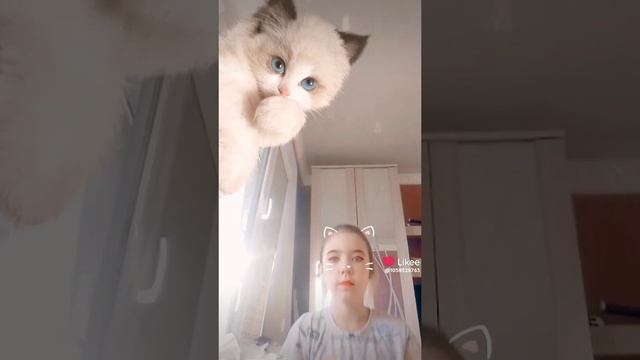 1000012211.mp4