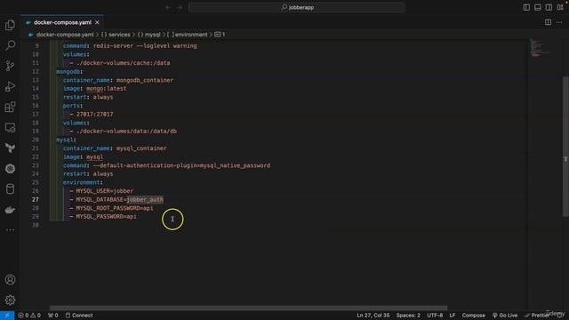 22 - MySQL and Postgres services