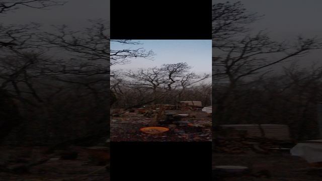 VID_20241212_172336.mp4