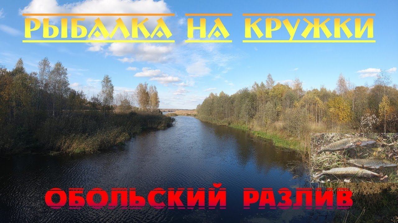 Рыбалка на кружки. Обольский разлив