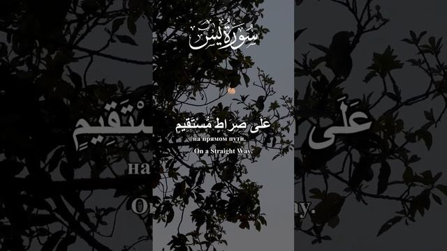 ЭТИ НАЗВАНИЯ будут ПРОДВИГАТЬ ваши видео на RuTube КОРАН