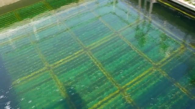 Фильм Михаила Водяхина "Один день Водоканала" г. Ростов-на-Дону 2016 г.