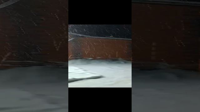 снег ❄️❄️❄️