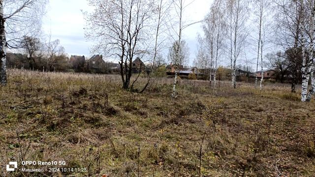 д.Мишнево.Щёлковский район.