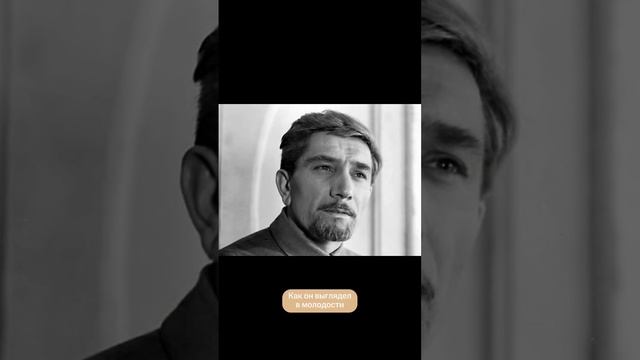 ЗИНЫ — собиратели историй