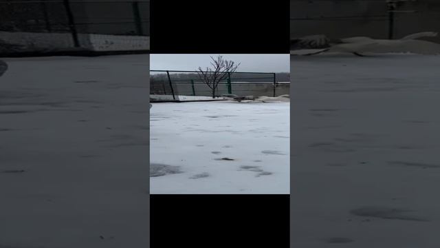 VID-20241212-WA0084.mp4