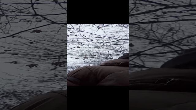 VID_20241205_162215.mp4
