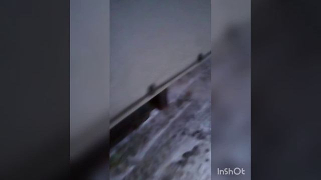 До дтп лобового столкновения машина была исправна 100%.mp4