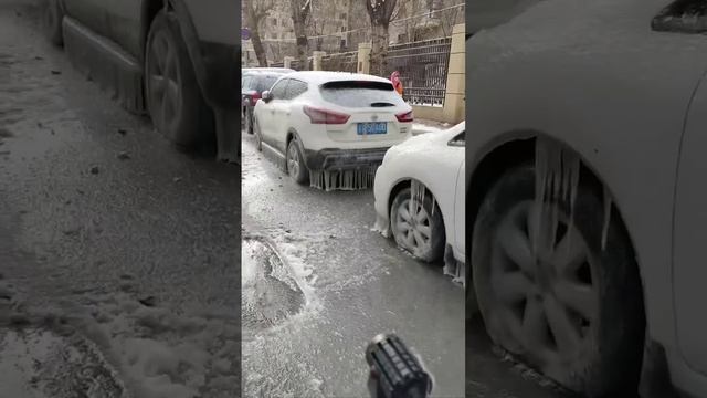 Последствия ледяного дождя

Без слёз не взглянешь