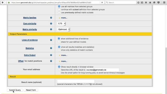 Promoter analysis with MatInspector