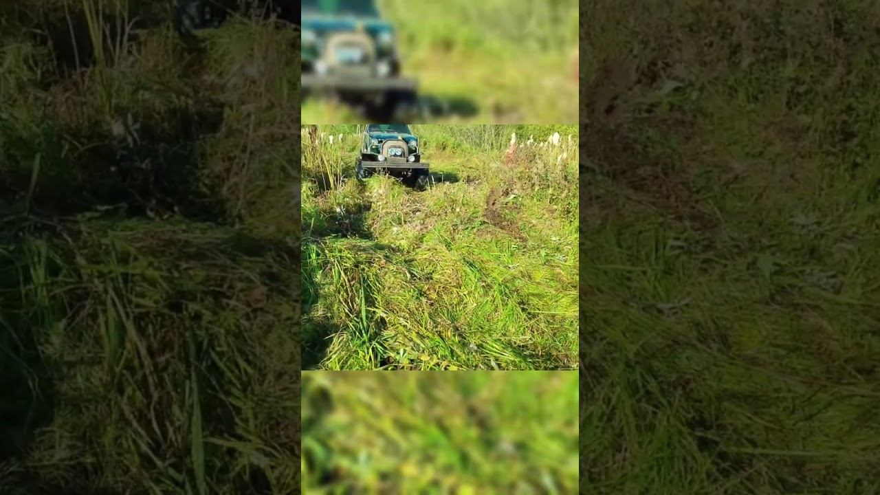 Копейка в БОЛОТЕ