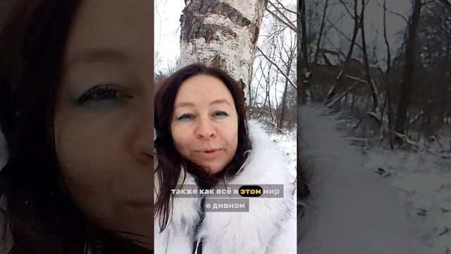 ТВОРЕНИЕ ЖИЗНИ. Алёна Ермакова.