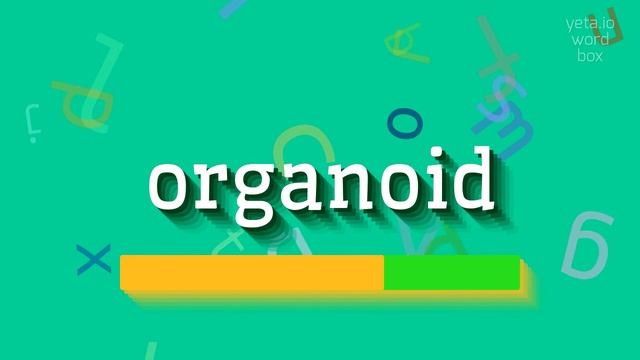 How to say "organoid"! (High Quality Voices)
