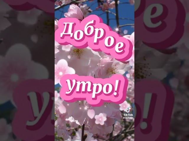 2 августа 2024 г.
