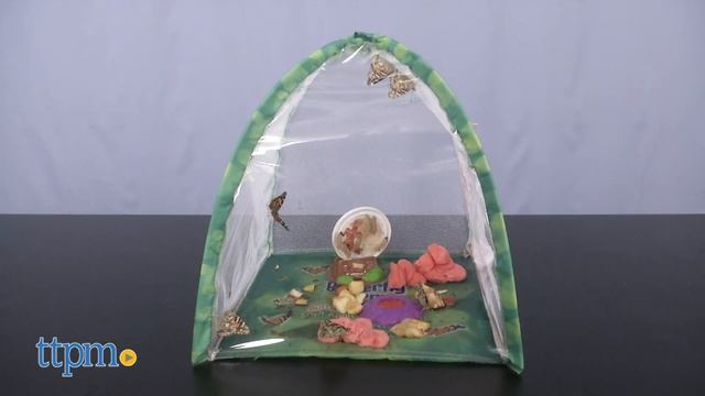 Butterfly Farm from Insect Lore
