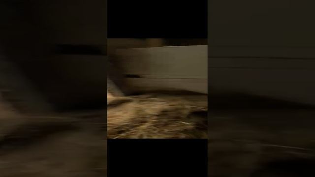 1000188410.mp4