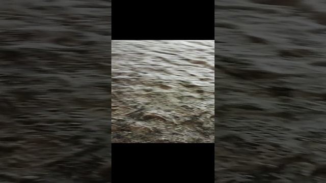 1/?