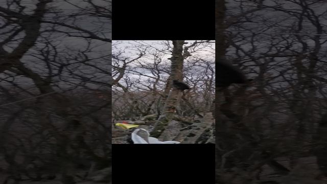 VID_20241212_172100.mp4
