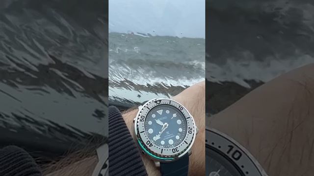 VID_20241212_175801_003.mp4