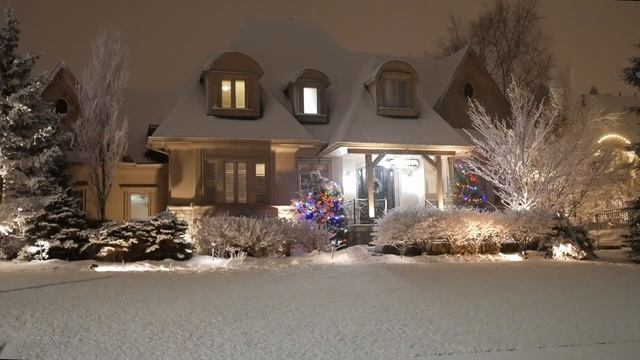 Зимняя СНЕЖНАЯ БУРЯ ночью - Успокаивающее зимнее видео о падающем снеге