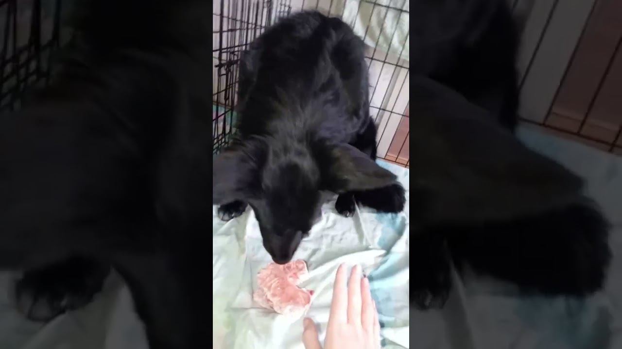 Смертельный номерНезнающим - не повторять! Опасно! Реально!