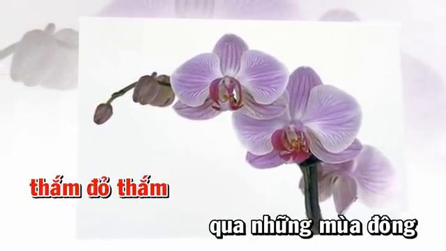 Trầu cau quan họ - Karaoke SONG CA