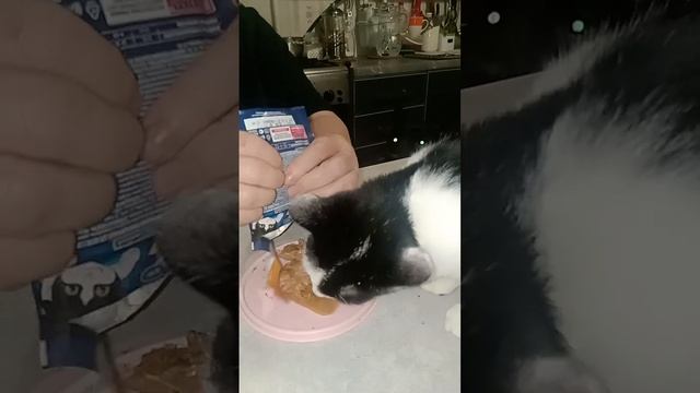 Ещё по звуку узнала своё любимое лакомство...