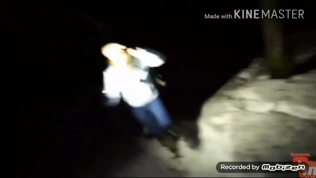 Клип Страшный лес. (С участием Элли ди)