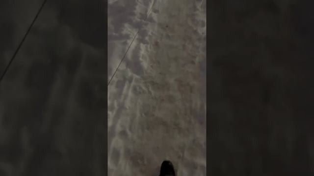 VID_20241212_175545_851.mp4