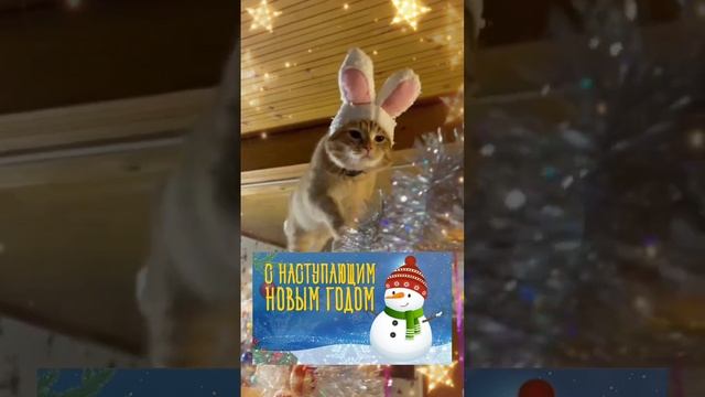 С Наступающим Новым годом Друзья ❄️🎄🎅⛄️❤️😻❄️
