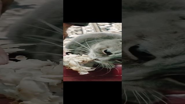 Мы не были на Таити.
