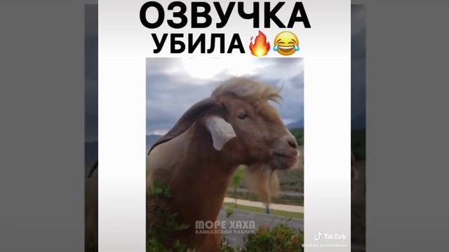 ОЗВУЧКА УБИЛА