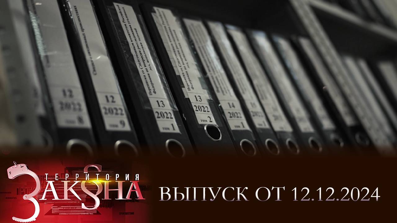 На страже интересов государства и общества; дача взятки; хотела освободить детей. Территория закона