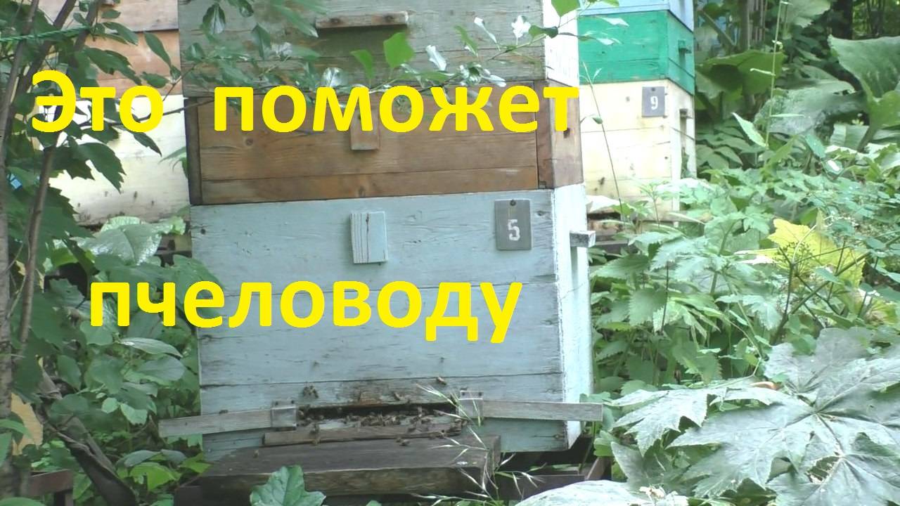 Номерация ульев с пчелами в помощь пчеловоду