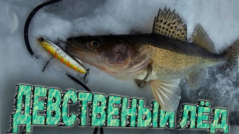 Девственный лёд на реке Кама. Кто первый, того и тапки.