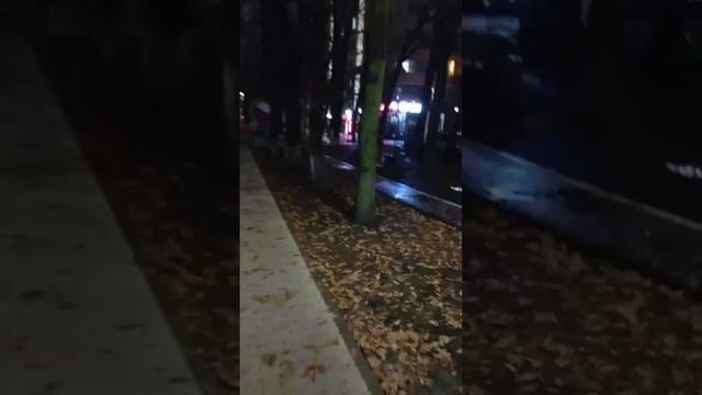 #зимняябегунья😆 11 декабря дневник) 10 серия #бег#спрот#катялиппа#мотивация#katyalippa