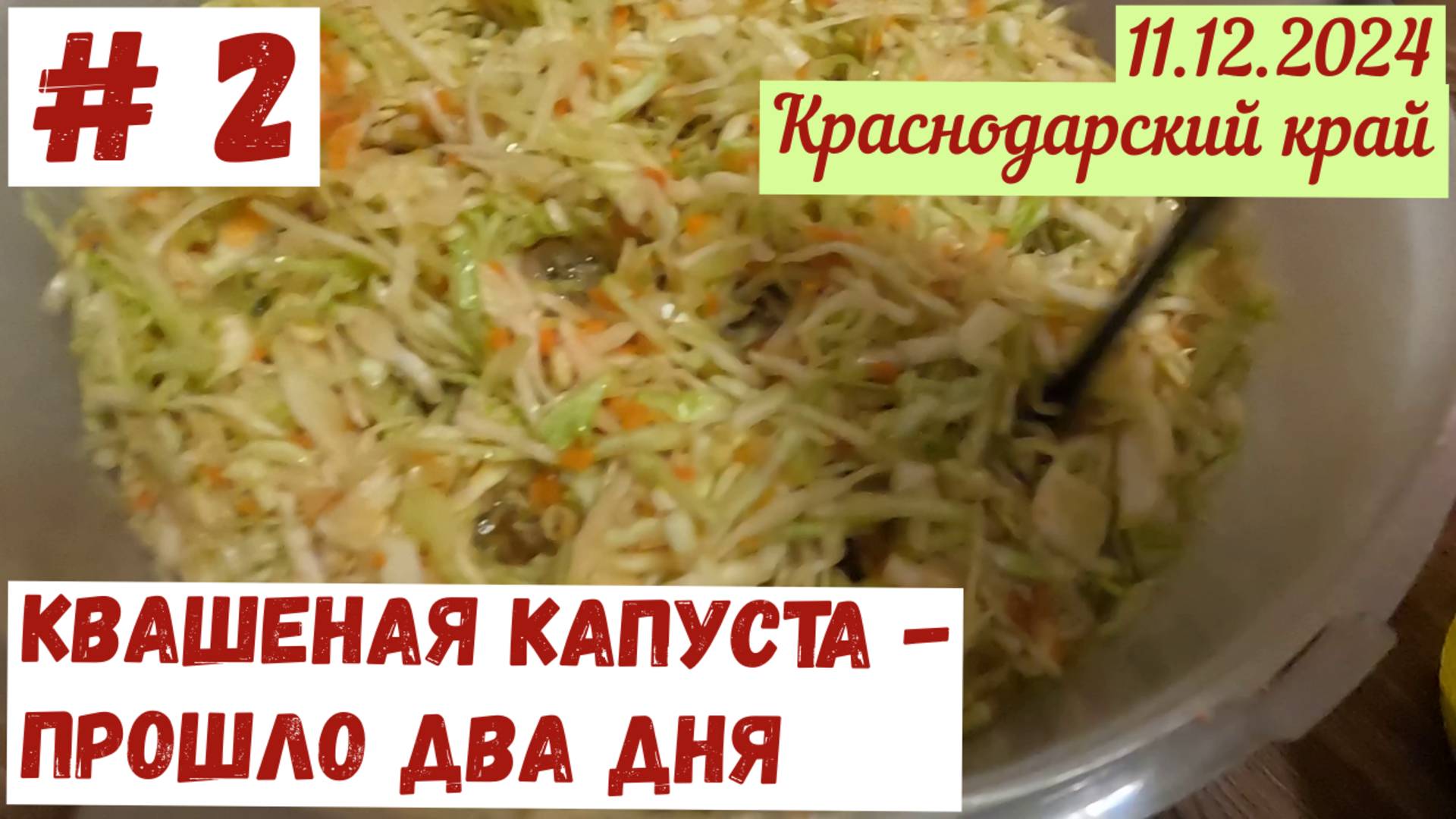 Квашеная капуста # 2. Прошло два дня. Собрали щепу после спила деревьев.
