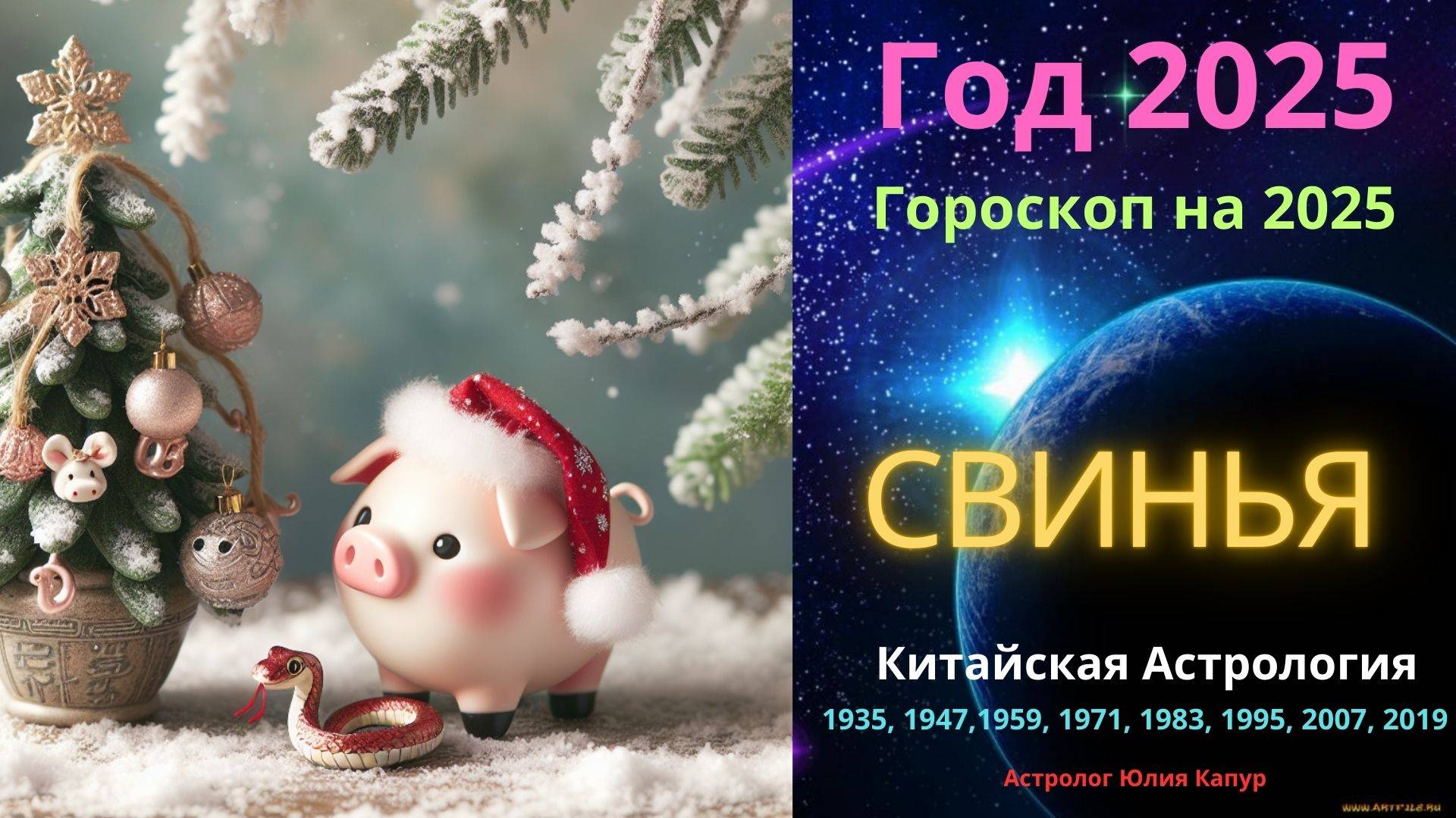 Свинья! Гороскоп на 2025 год! от Юлии Капур