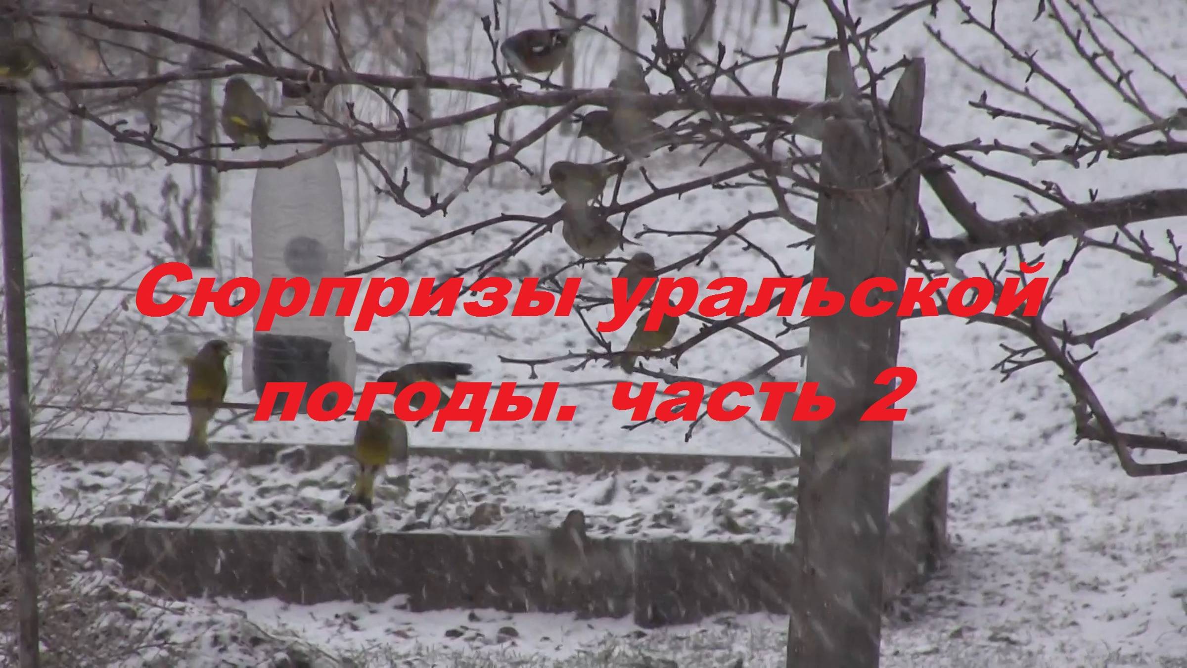 Сюрпризы уральской погоды. часть 2