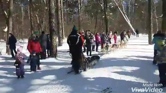 Оленья ферма