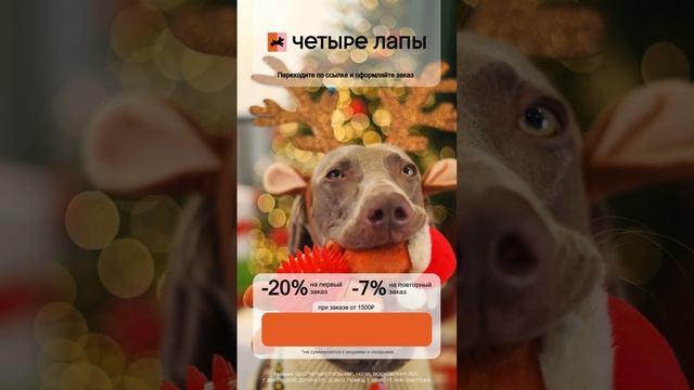 Промокод Четыре Лапы