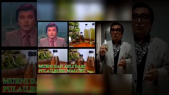 Yasir Den Has : Testimoni Minyak Kayu Putih