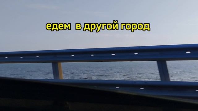 Я вернулся❤️❤️🔥🔥 " Переезд муравьёв "
приятного просмотра ❤️🔥👍