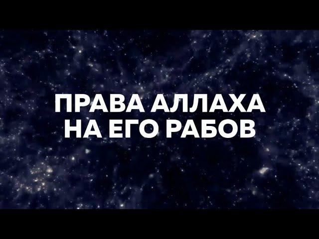 Права Аллаха на Его рабов. С чего начинали ученые в написании книг? Ринат Абу Мухаммад #таухид