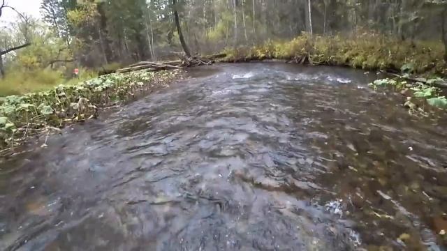 Осенняя РЫБАЛКА на ХАРИУСА_Первый СНЕГ в ТАЙГЕ_ Зачётный КЛЁВ Кабанов!!!