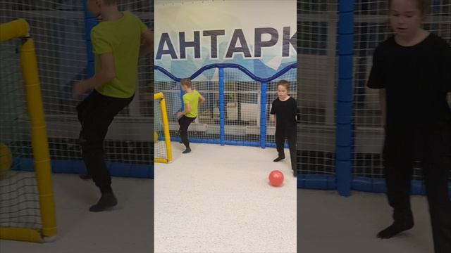 Финтер