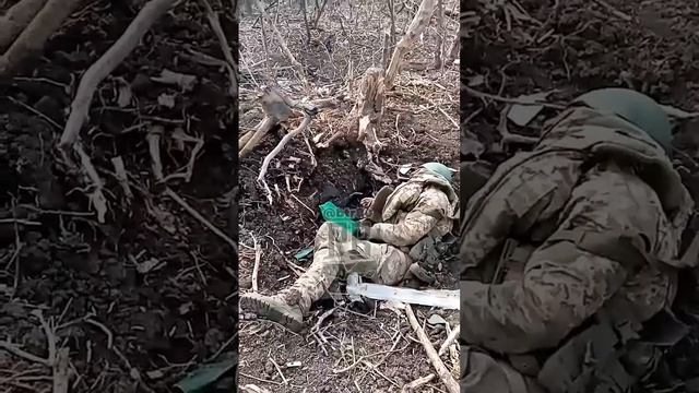 🏴☠️🔞 Кладбище ВСУ: Поля боя на Покровском направлении завалены трупами боевиков