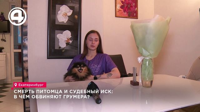 Смерть питомца и судебный иск: в чём обвиняют грумера?