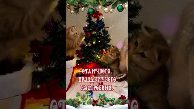 Пожалуйста, поддержите мой труд - поставьте лайк и подпишитесь на мой канал с открытками! Я буду ...