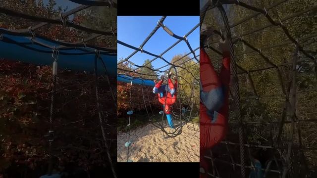 Funny Spiderman